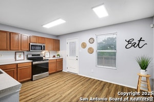 Photo - 25911 Torch Lily