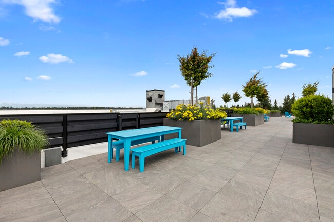 Arabella Apartment Homes