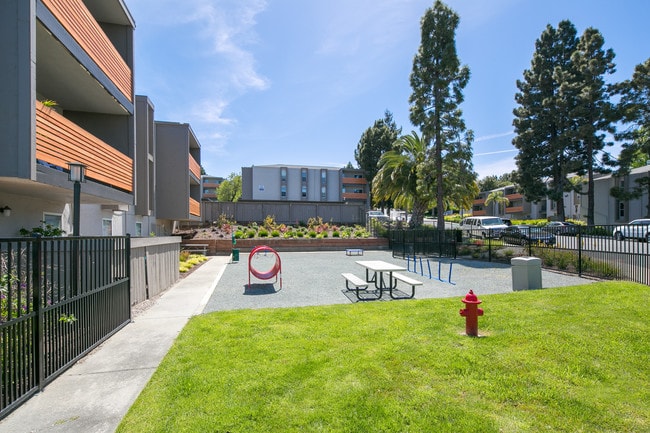 Bayside Apartments