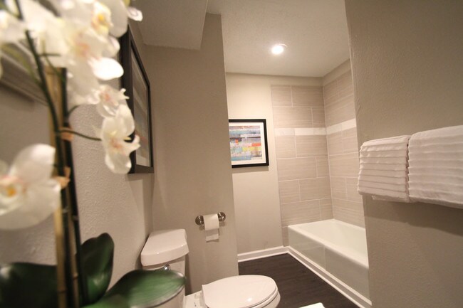 Photo - Springfield Park Apts