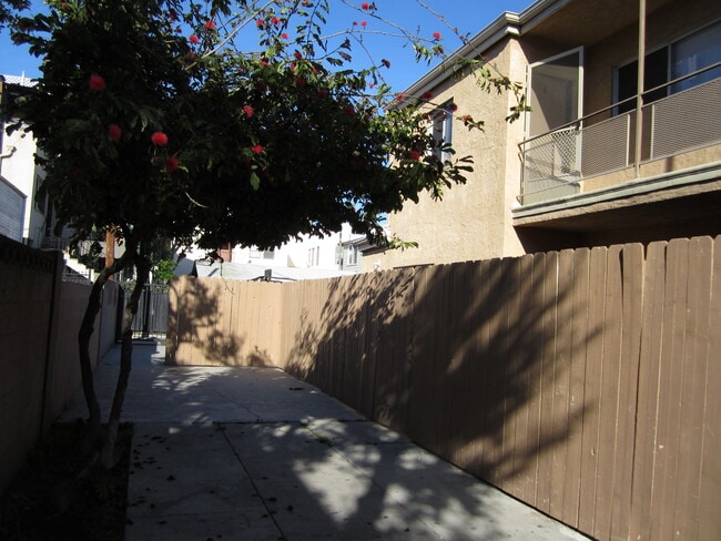 437 Walnut Ave