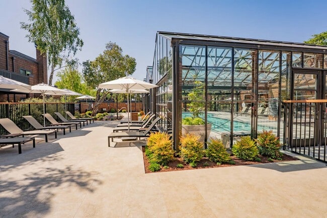 Courtyard/Pool