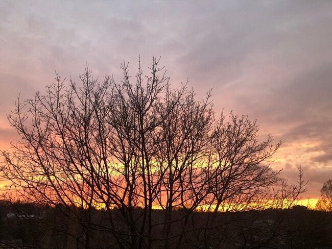 Photo - 318 Tappan St Unidad 3