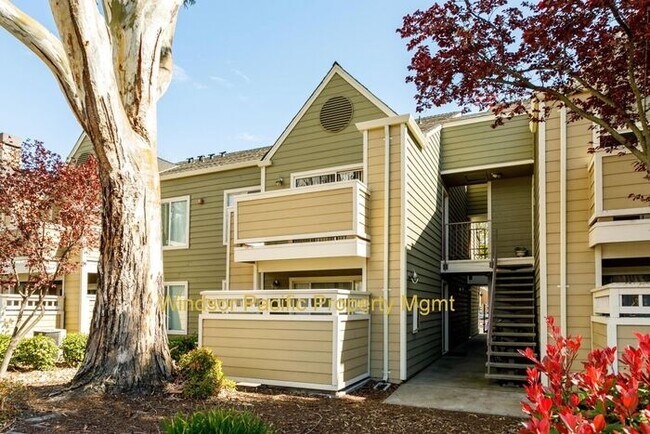 Apartments for Rent in San Ramon, CA