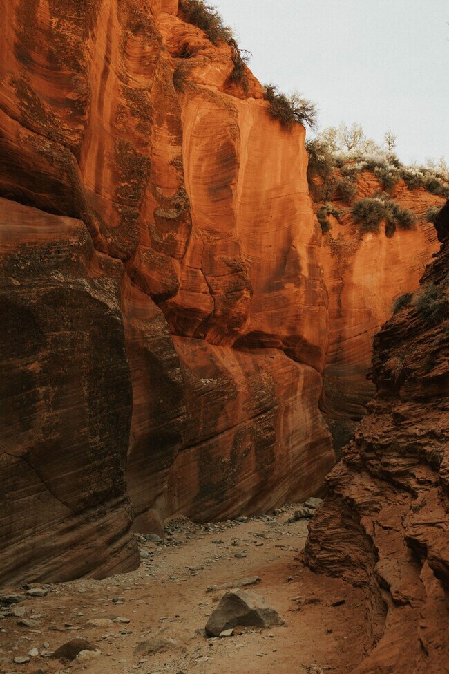 Photo - 736 W Rider Dr Unit ID1249898P