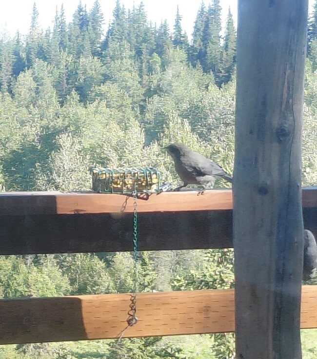 Photo - 72460 Norwegian Wds Rd