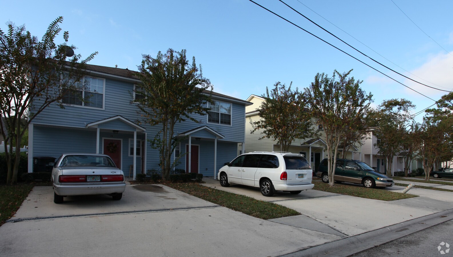 Photo - Orchid Trace