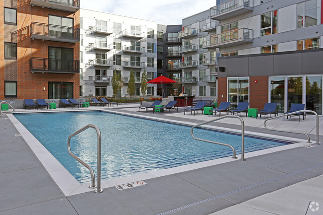 Rooftop Pool - The Moline Apartments