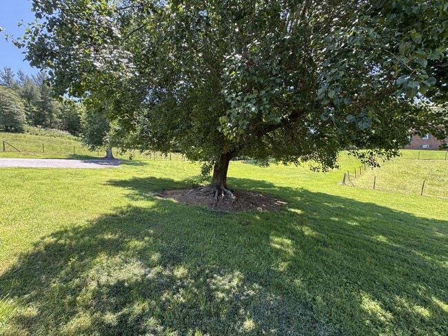 Photo - 1229 Dragway Rd