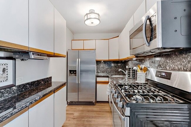 Photo - Chicago Gorgeous 2bedr 2bath Spacious Condo Unit 5975