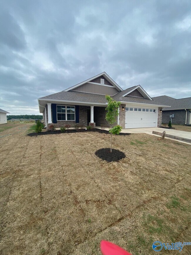 213 Alonzo Toney Dr