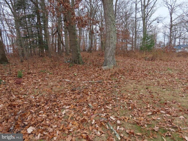 Photo - 563 Principio Rd