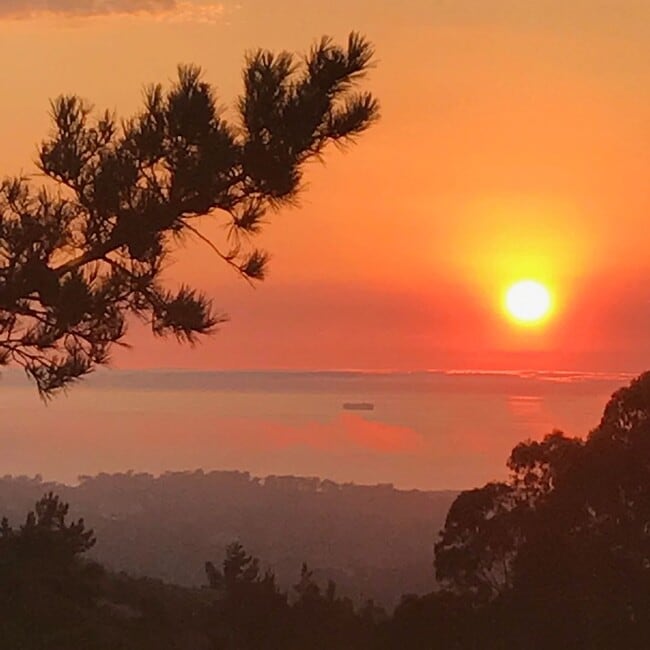 Building Photo - Peaceful Condo with Stunning Sunset & Ocea...