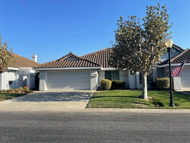 Building Photo - 1788 Pinecone Ct