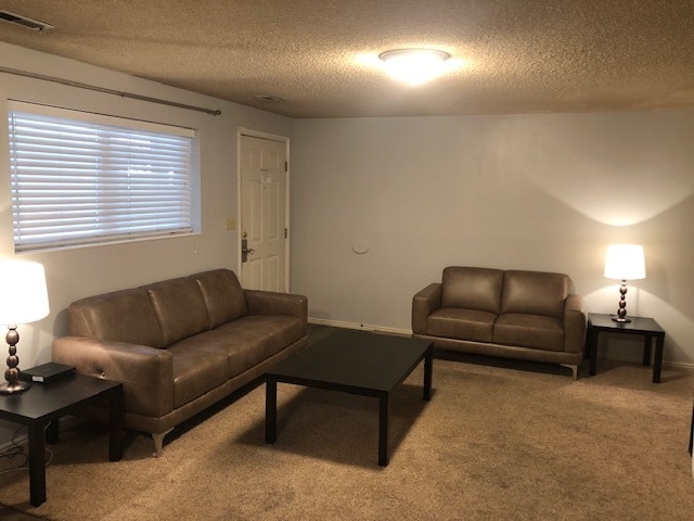 Remodeled Living Room - 161 E 700 N Unit 5