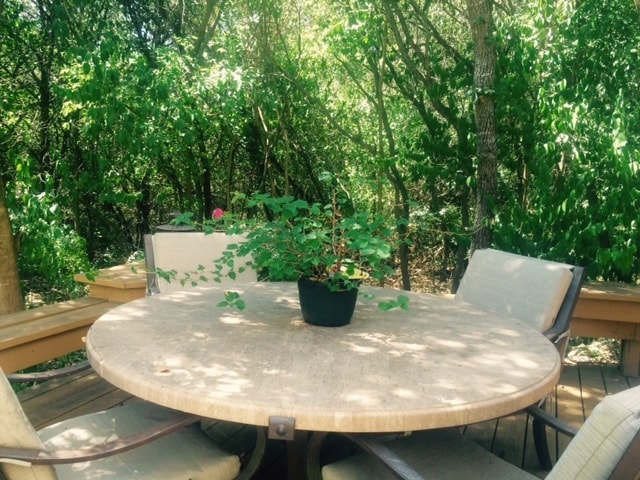 Private deck down - 9810 Lake Ridge Dr