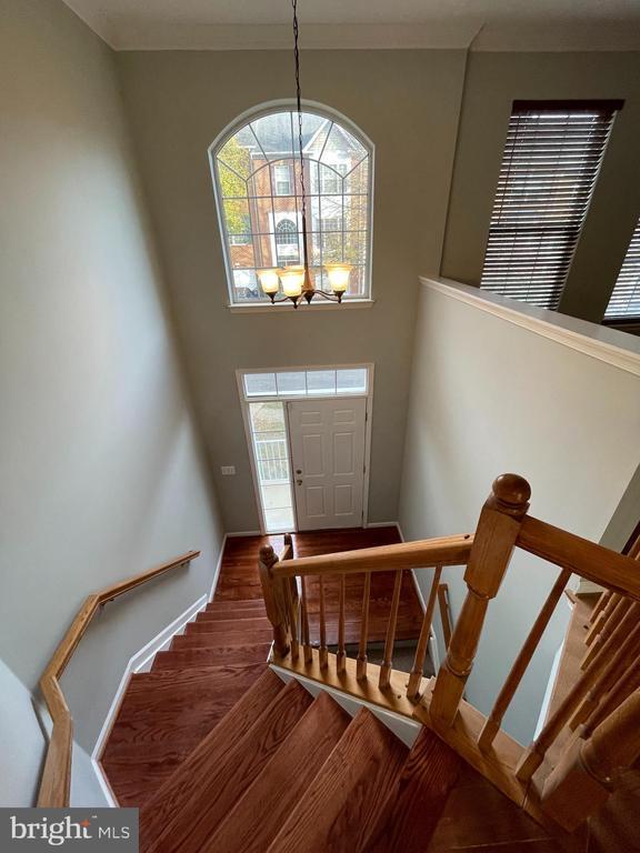 Building Photo - 4106 Hazelwood Ct
