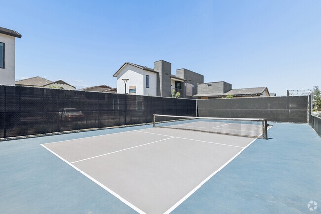 Pickleball Court