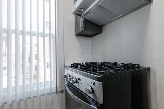 Newly Renovated Apartments