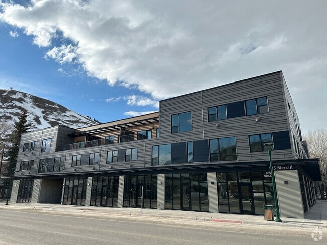 Building Photo - 105 Mercill Ave Unit 303 Rental