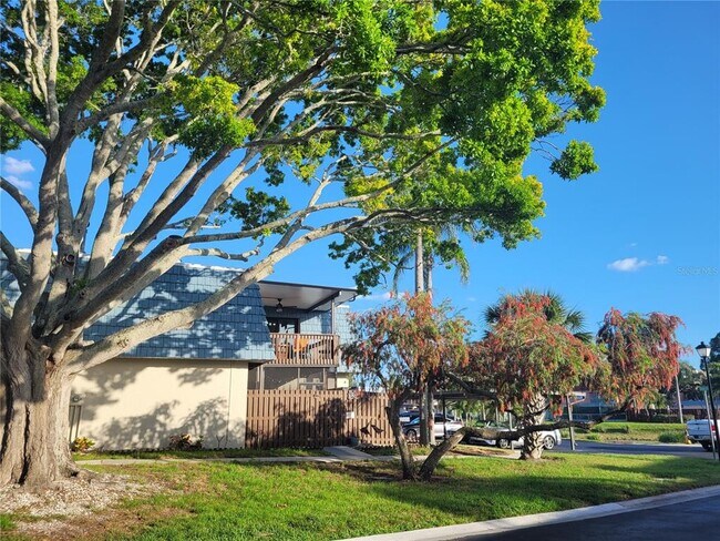 Photo - 14521 Catalina Cir