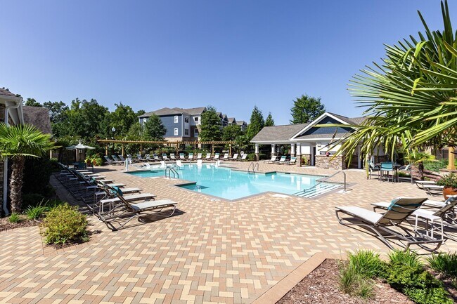 Refreshing Swimming Pool