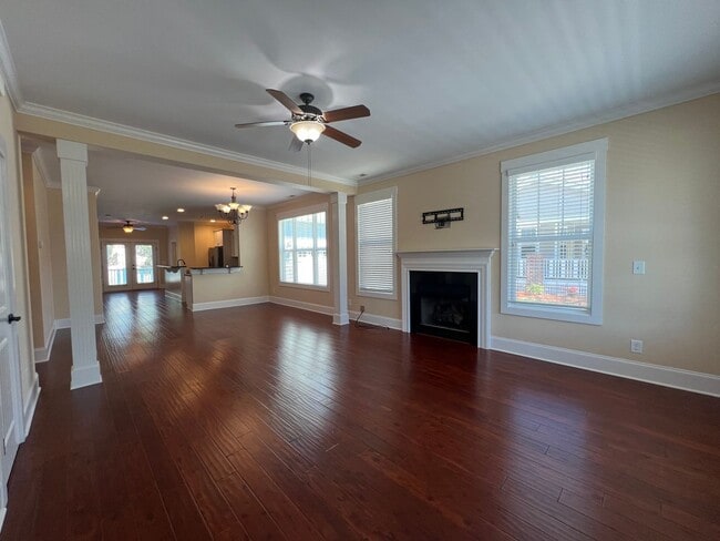 Photo - Absolutely Adorable!