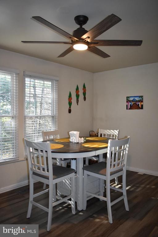 Photo - 9464 Tea Berry Ct