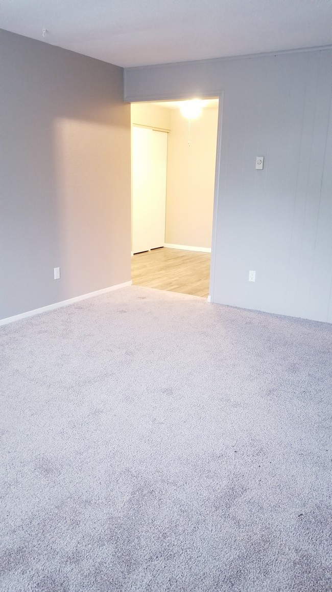 Photo - Riviera Apartments