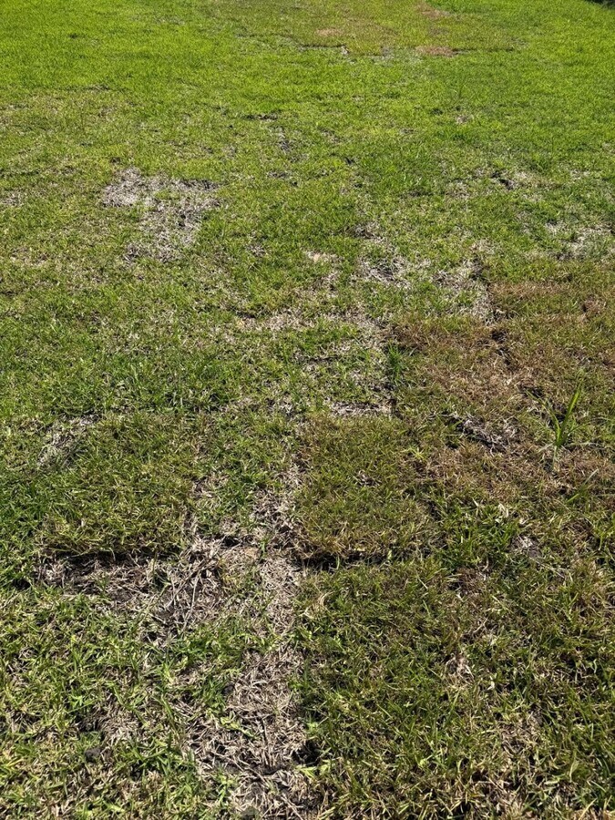 Photo - 27207 Azure Fls Dr