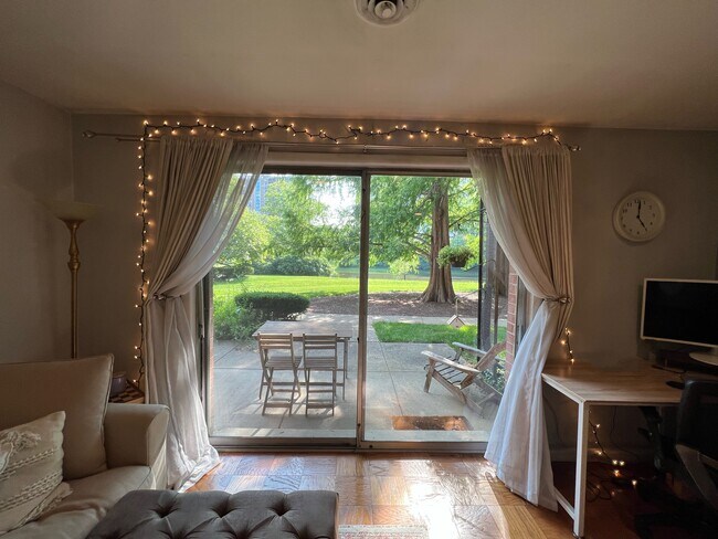 Living Room View