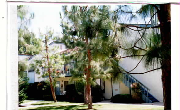 Photo - 372 W Bay St