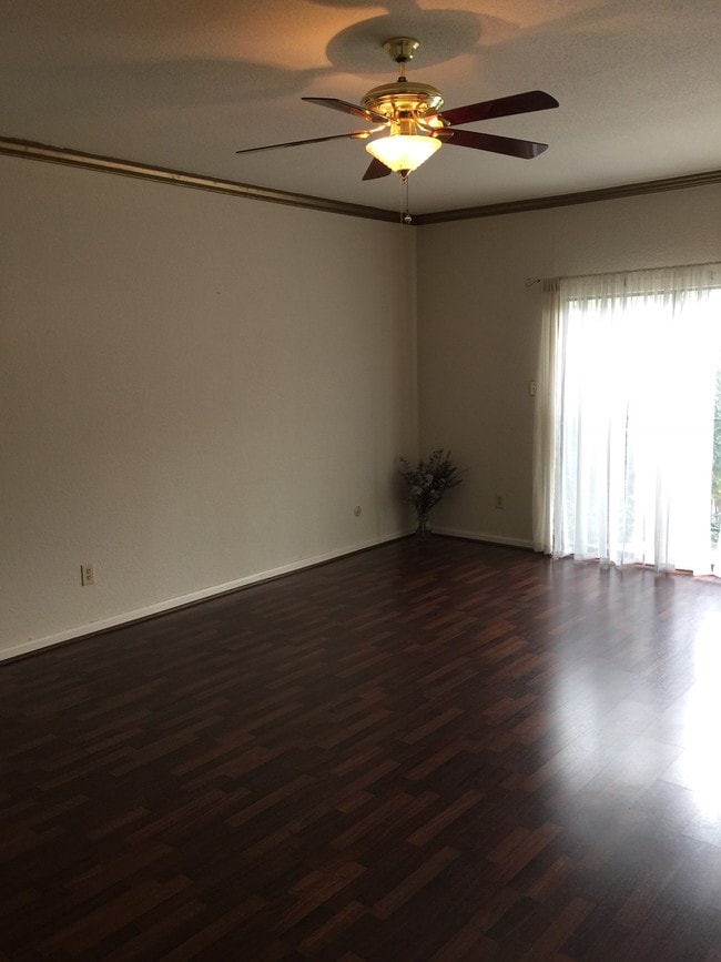Living room - 2400 N Braeswood Blvd Unit 311