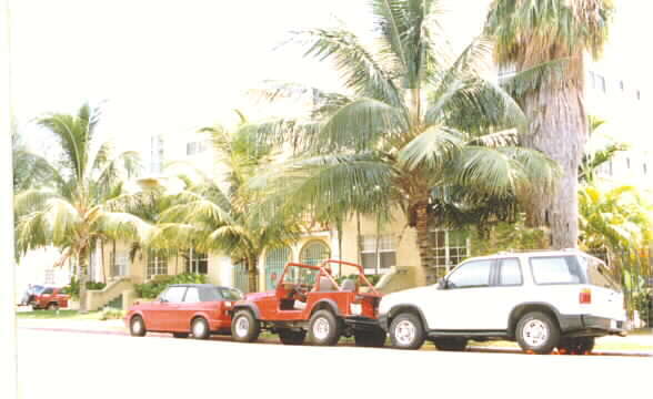 Everglades East - Everglades East