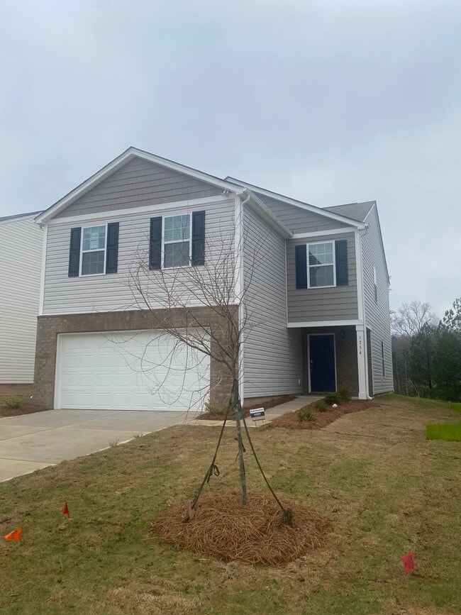 Building Photo - Be the First to Live in This Stunning Brand New Home!