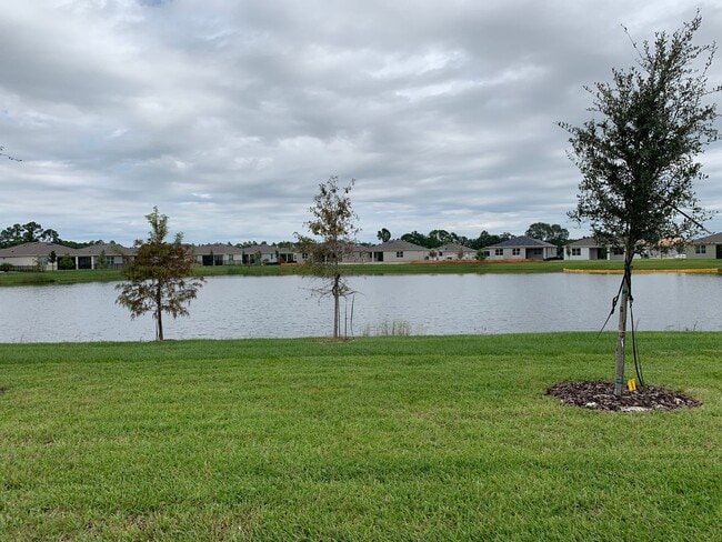 Photo - 17841 Blazing Star Cir