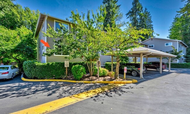 Building Photo - Echo Lake One Bedroom Unit F201 Rental