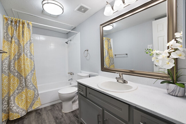 Nova Apartment Homes
