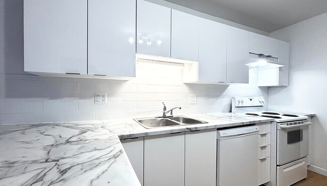 Photo - 9 Gordon - 60 Bonaccord Street