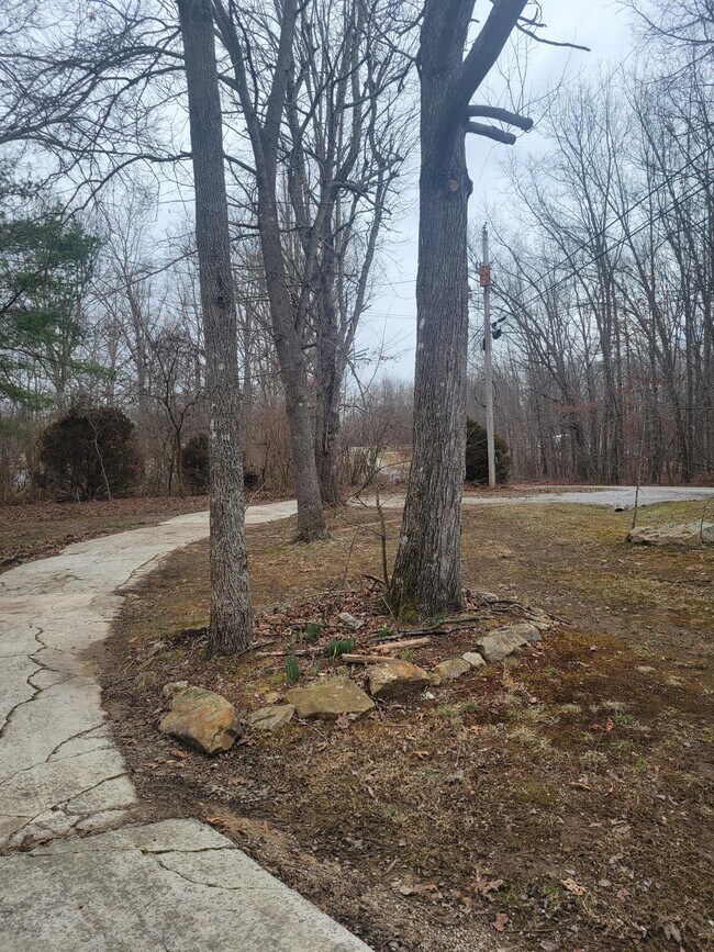 Photo - 71 Fox Den Ln