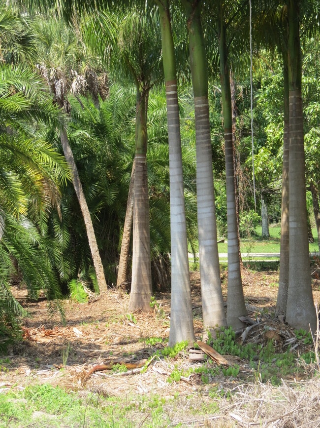 Palmesta Preserve - 27430 Palmesta Circle Unidad #16