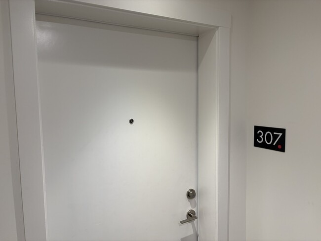 1036 Coronation Ave Unit 307
