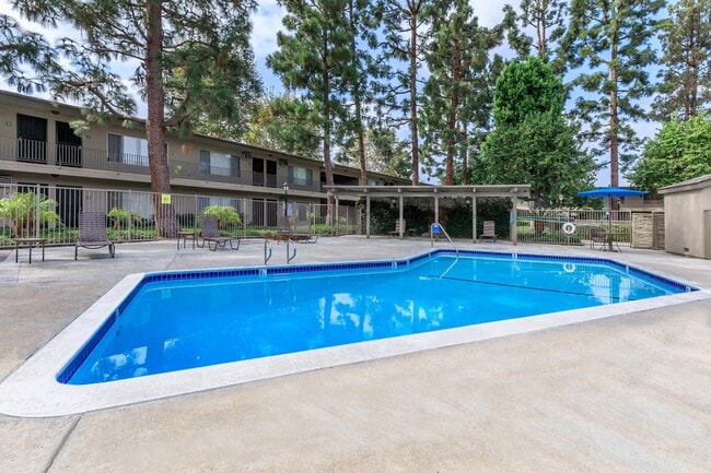 Photo - Saddleback Pines Apartment Homes