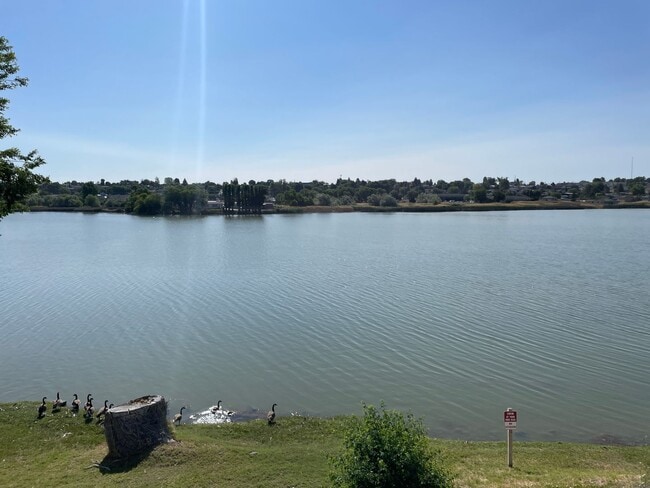 2BR 1BA Duplex On Lake!! - 2BR 1BA Duplex On Lake!! House