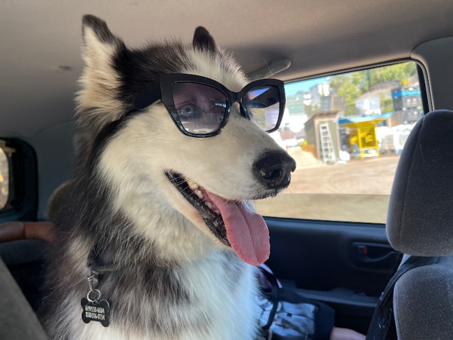 Photo - 1503 Republic St