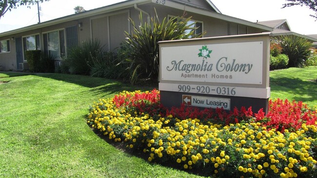 Magnolia Colony Apartments. - Magnolia Colony Apartments.