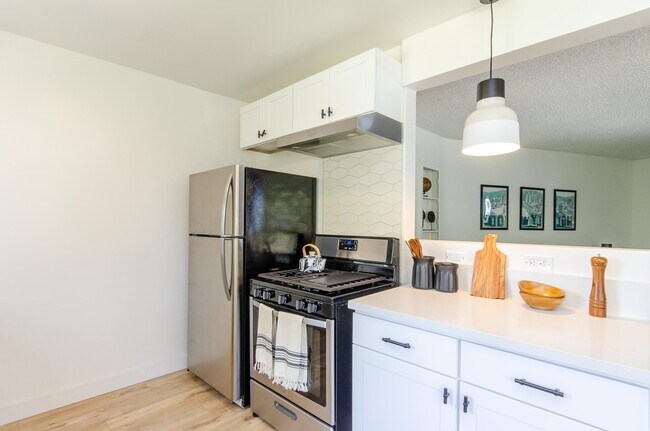 Electrodomésticos de acero inoxidable - The Raven