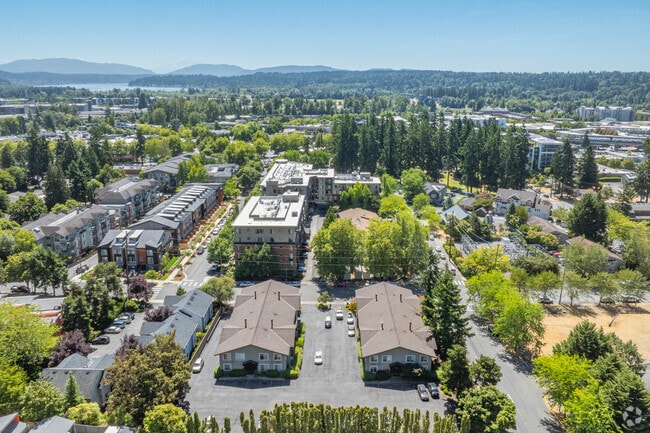 Aerial - Quiet Family-Friendly Living In Downtown R... Rental
