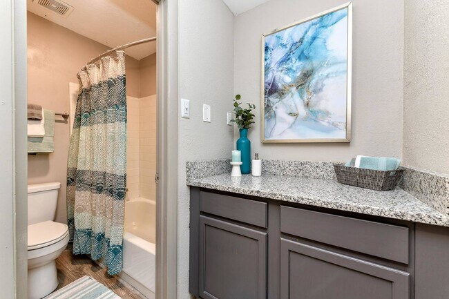 Bathroom + Granite Counters