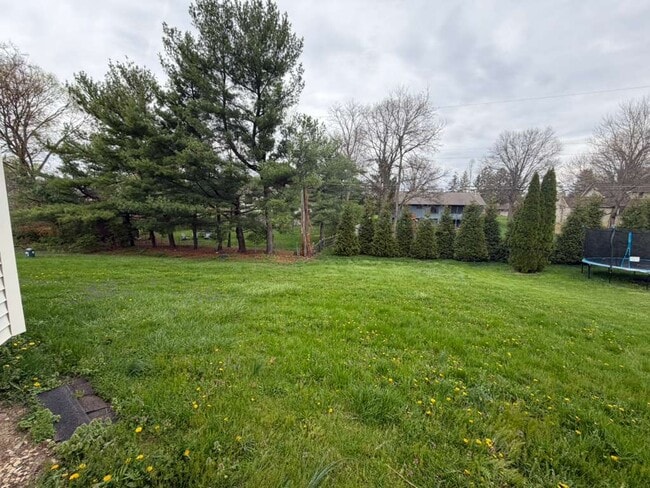 Photo - 310 Powell Rd